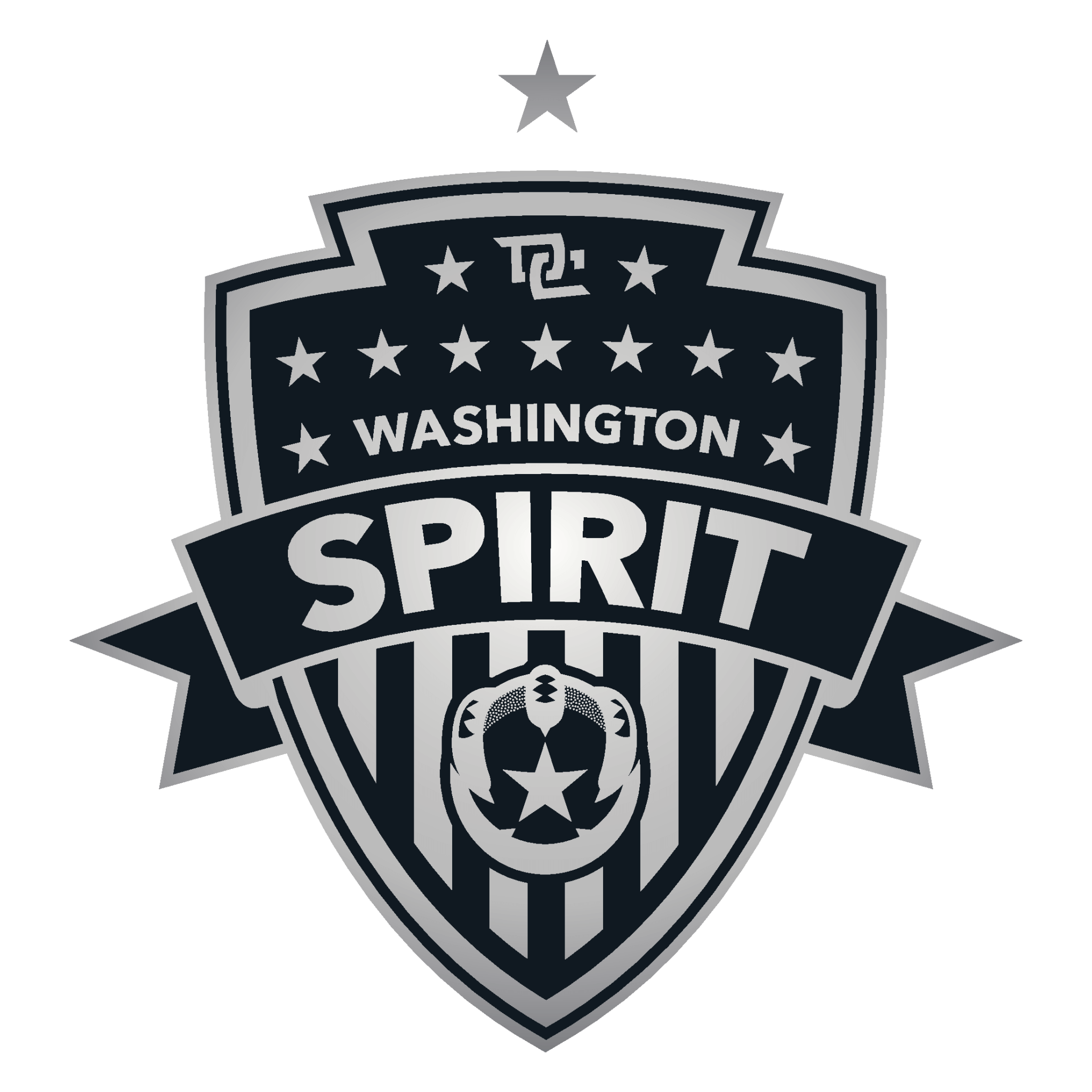 Washington Spirit Logo Badge