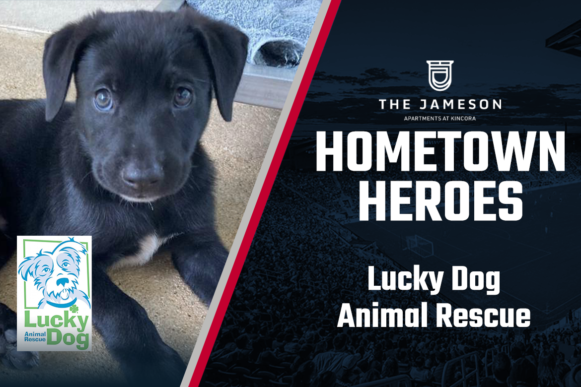 Hometown Heroes Presented by the Jameson: Lucky Dog Rescue Featured Image