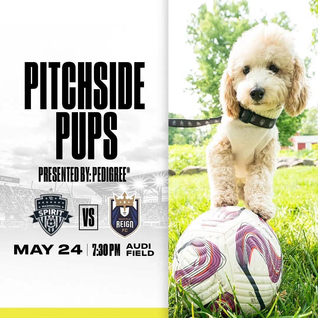Pitchside Pups Presented by Pedigree
