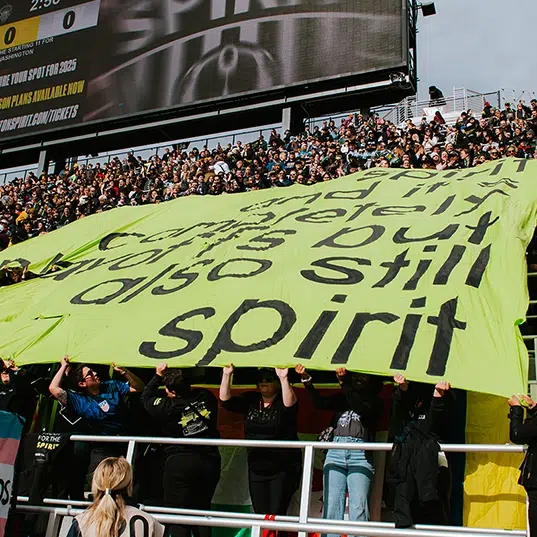 Washington Spirit Supporters