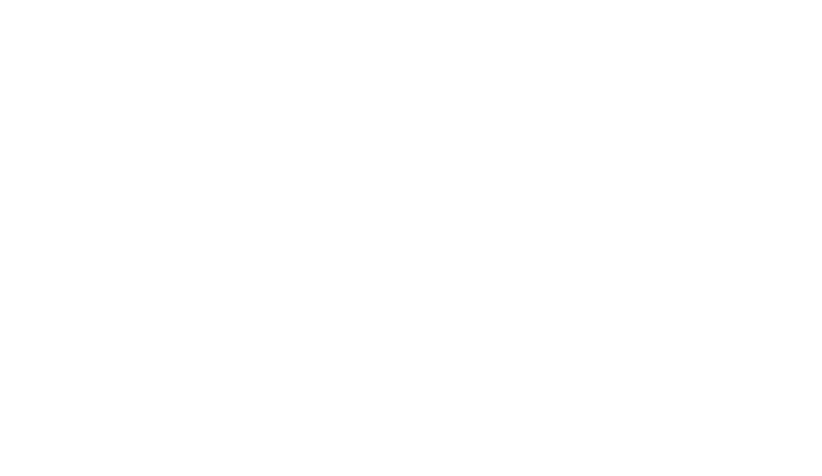 Team Sponsors